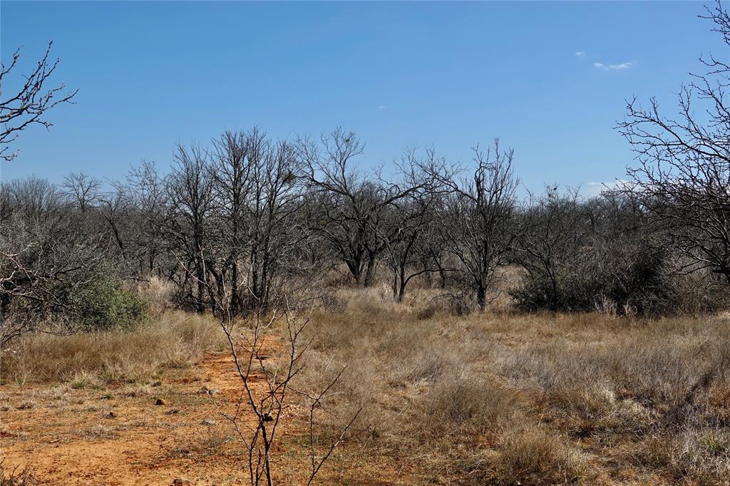 219 C R 550 Mullin, TX 76864 - Photo 29 of 36 a view of a dry yard with trees