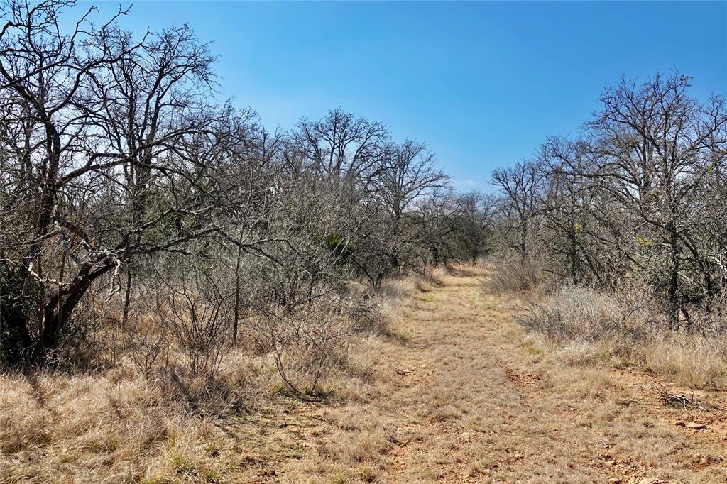 219 C R 550 Mullin, TX 76864 - Photo 30 of 36 a view of a yard with a tree