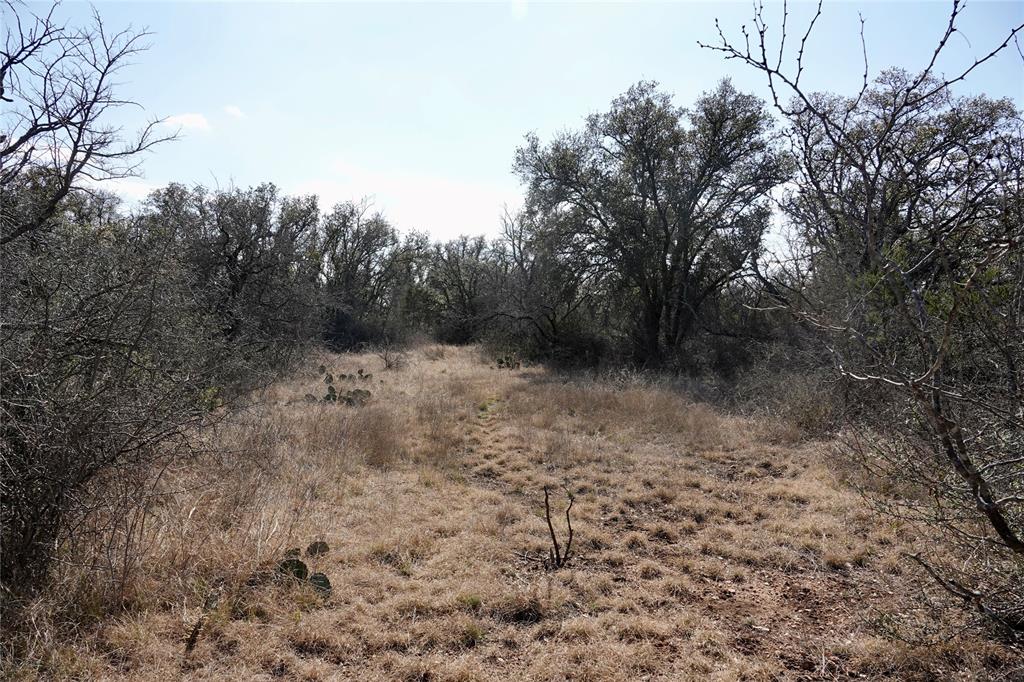 219 C R 550 Mullin, TX 76864 - Photo 31 of 36 a view of a dry yard with trees