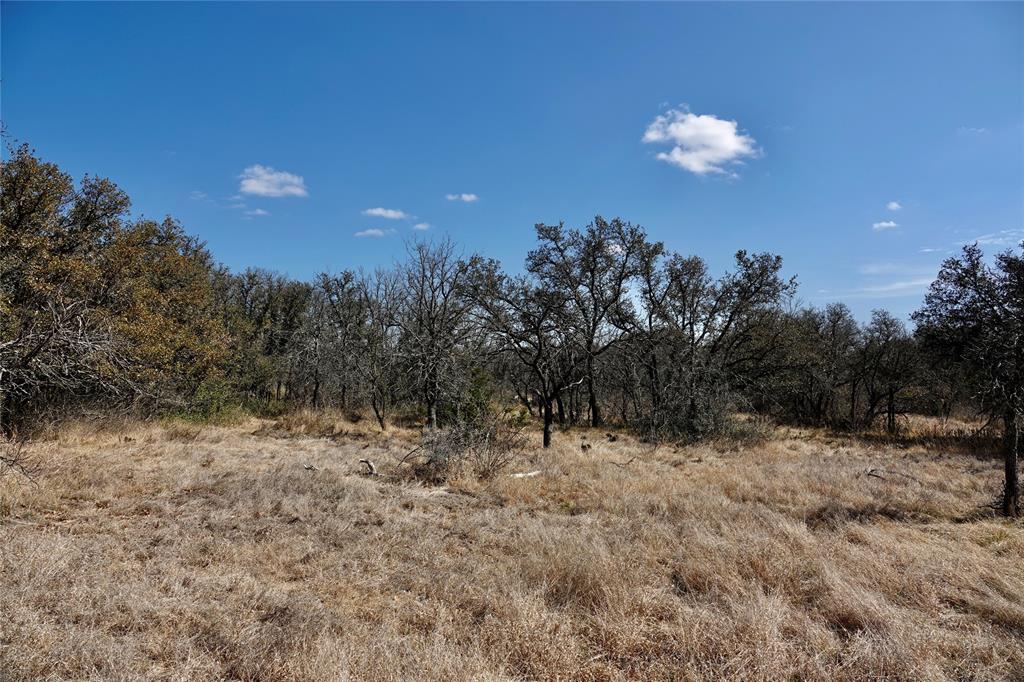 219 C R 550 Mullin, TX 76864 - Photo 34 of 36 a view of a dry yard with trees in the background