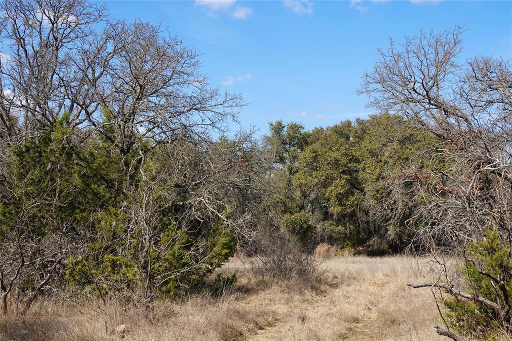 219 C R 550 Mullin, TX 76864 - Photo 35 of 36 a view of a covered with snow in between of the road