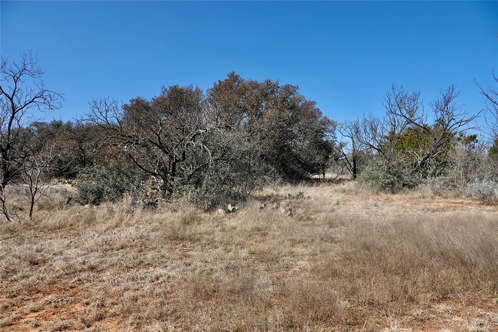 219 C R 550 Mullin, TX 76864 - Photo 7 of 36 a view of a yard with a tree