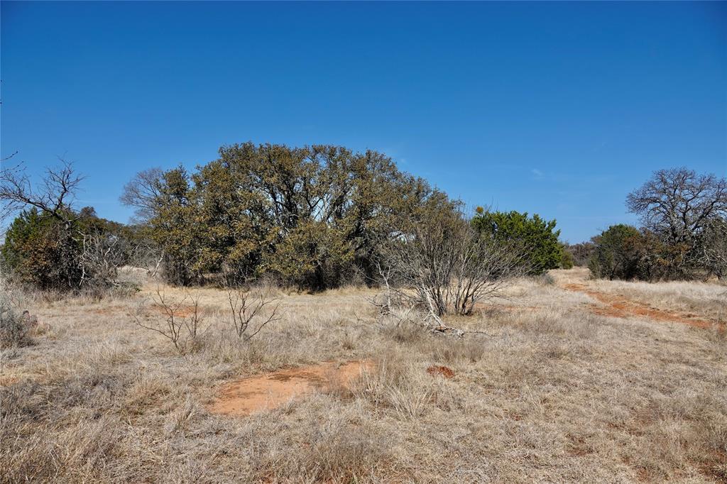 219 C R 550 Mullin, TX 76864 - Photo 8 of 36 a view of large trees