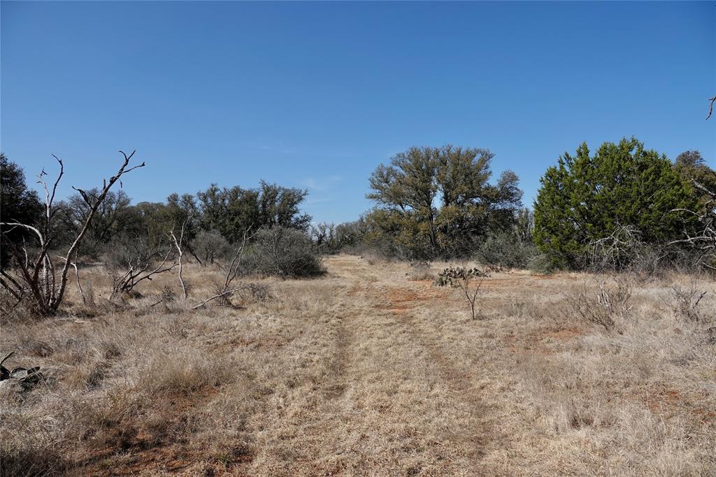 219 C R 550 Mullin, TX 76864 - Photo 9 of 36 a view of a dry yard with trees