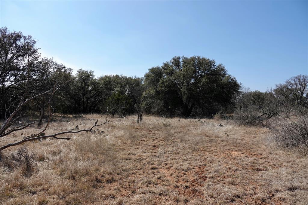 219 C R 550 Mullin, TX 76864 - Photo 10 of 36 a view of a dry yard with trees in the background