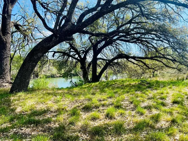 $699,000 | 5250 Driftwood Lane, Unit 1 2, Junction, TX 76849