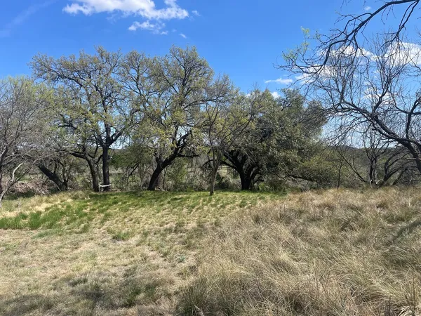 $699,000 | 5250 Driftwood Lane, Unit 1 2, Junction, TX 76849