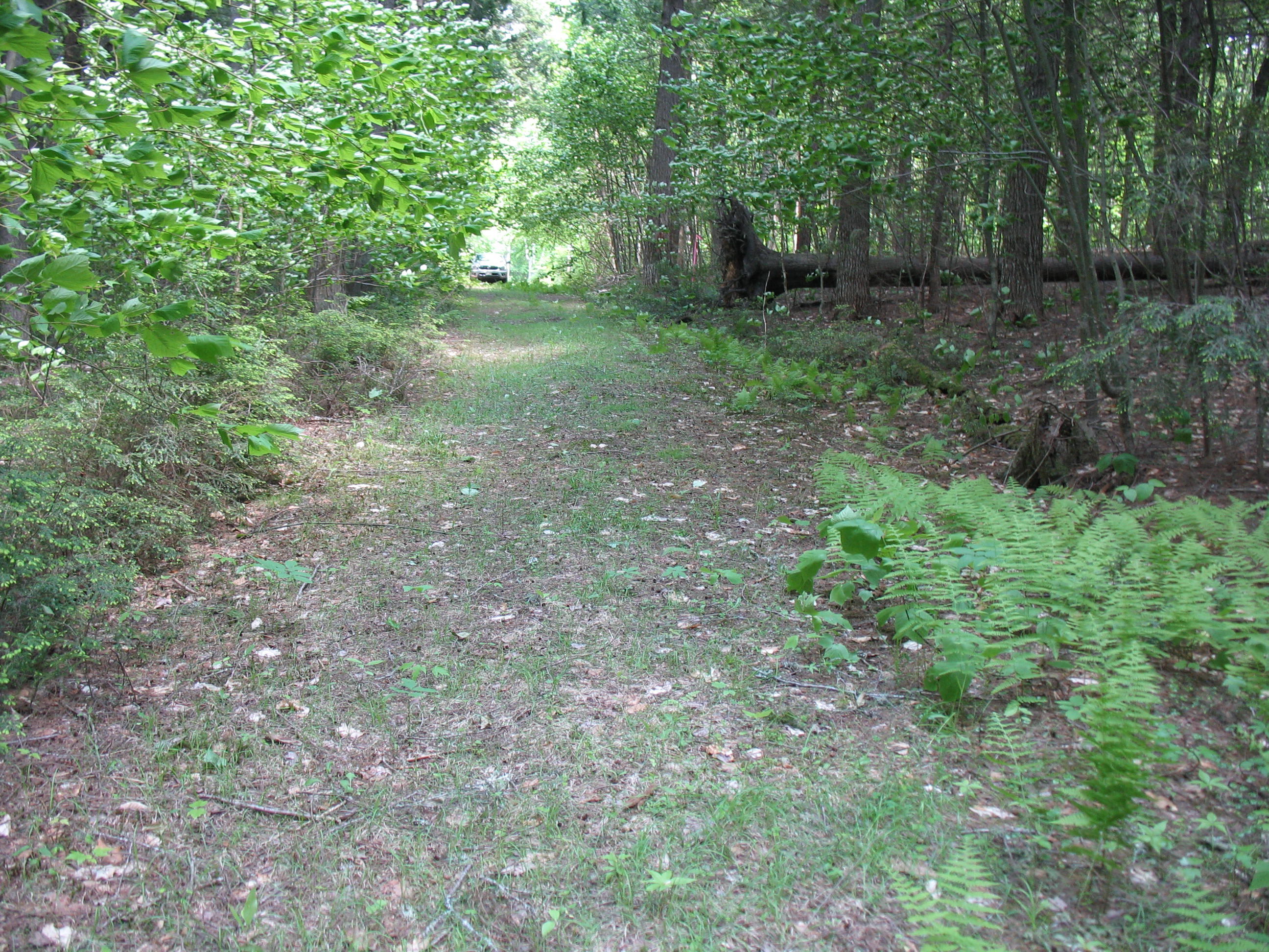 Lot 35 South Shore Road Abbot, ME 04406 - Photo 18 of 22 Whetstone Pond 022