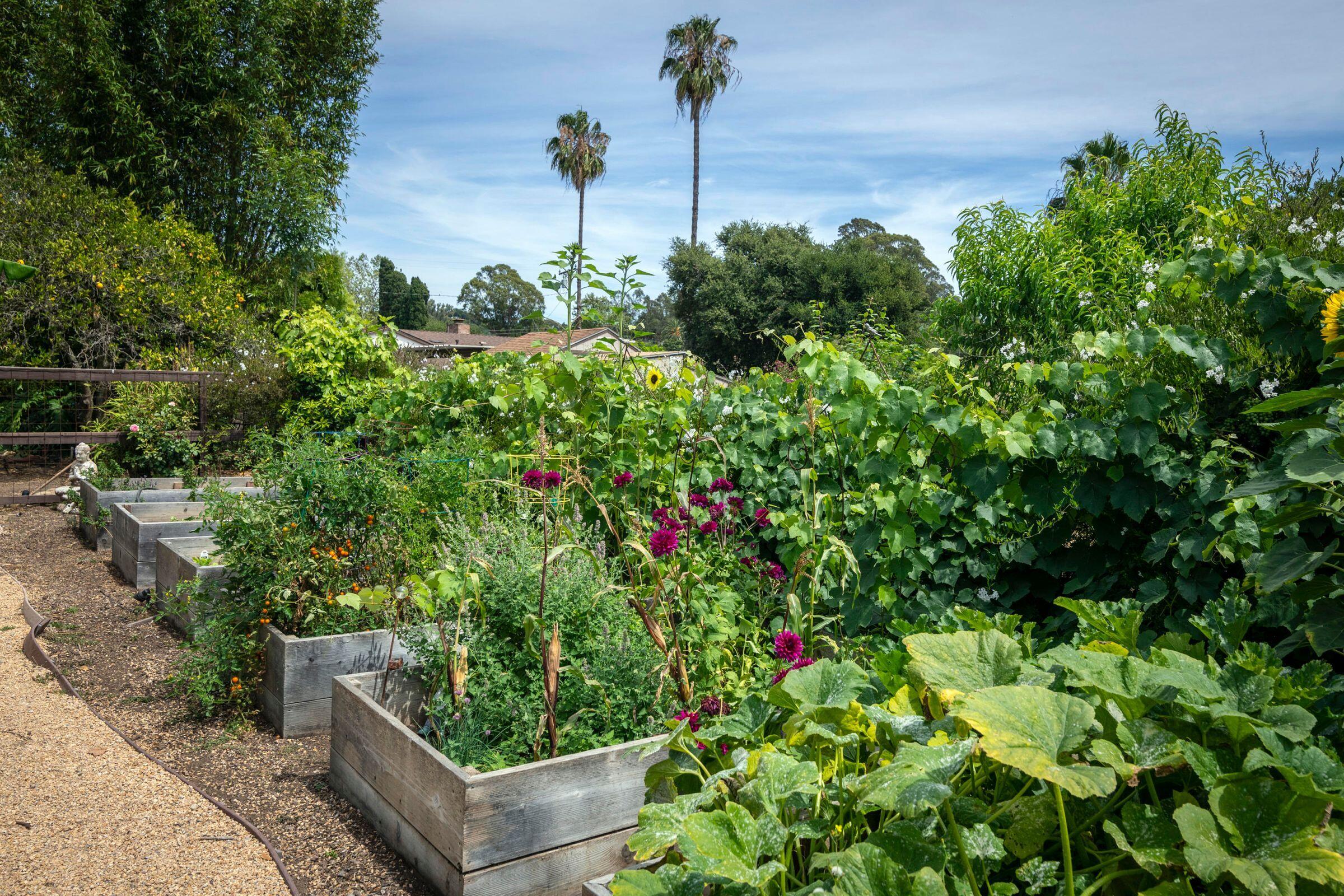 245 North Arboleda Road Santa Barbara, CA 93110 - Photo 22 of 23 Gardens