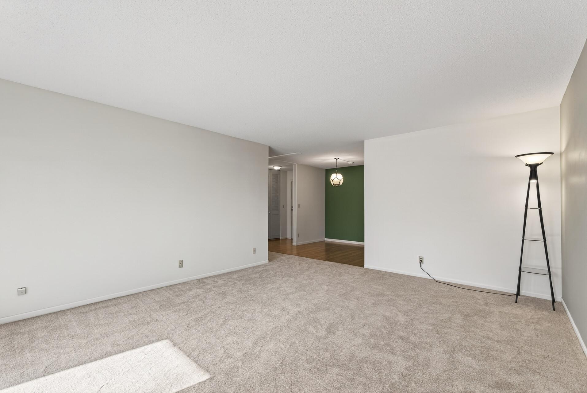 4045 Hodgson Road, Unit 211 Shoreview, MN 55126 - Photo 9 of 30