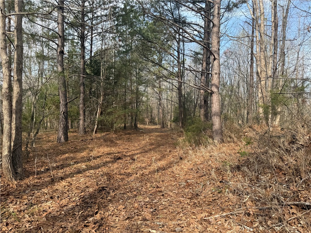 0 Holland Ford Road Pelzer, SC 29669 - Photo 11 of 35