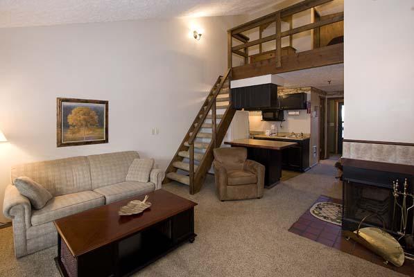 46 Ridgewood Street Snowshoe, WV 26209 - Photo 1 of 15 RW 46 main