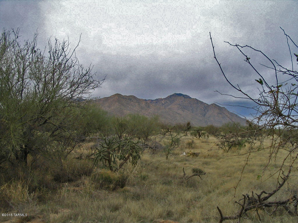 South Tila Road Tucson, AZ 85735 - Photo 7 of 7 Gallery Image 7