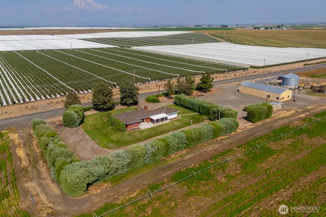 a view of a backyard of the house