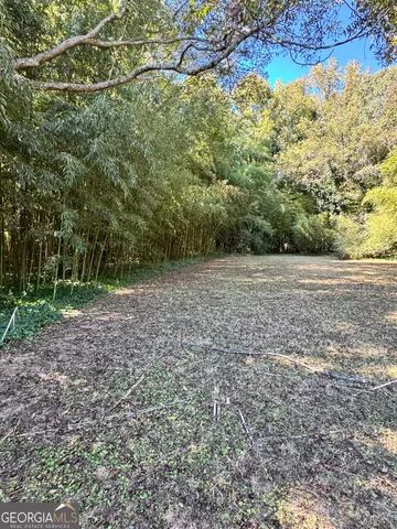 a view of a field with trees in the background