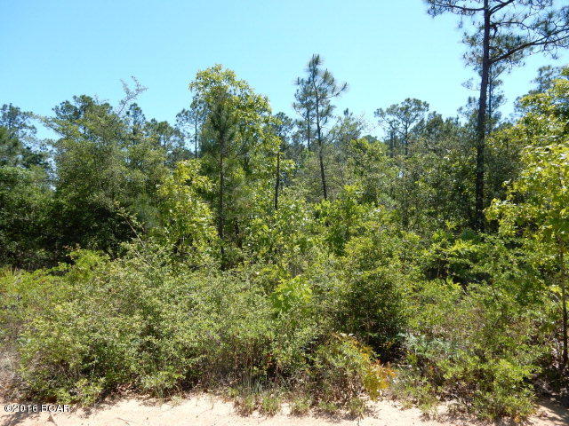 Xxx Seminole Road Chipley, FL 32428 - Photo 1 of 5