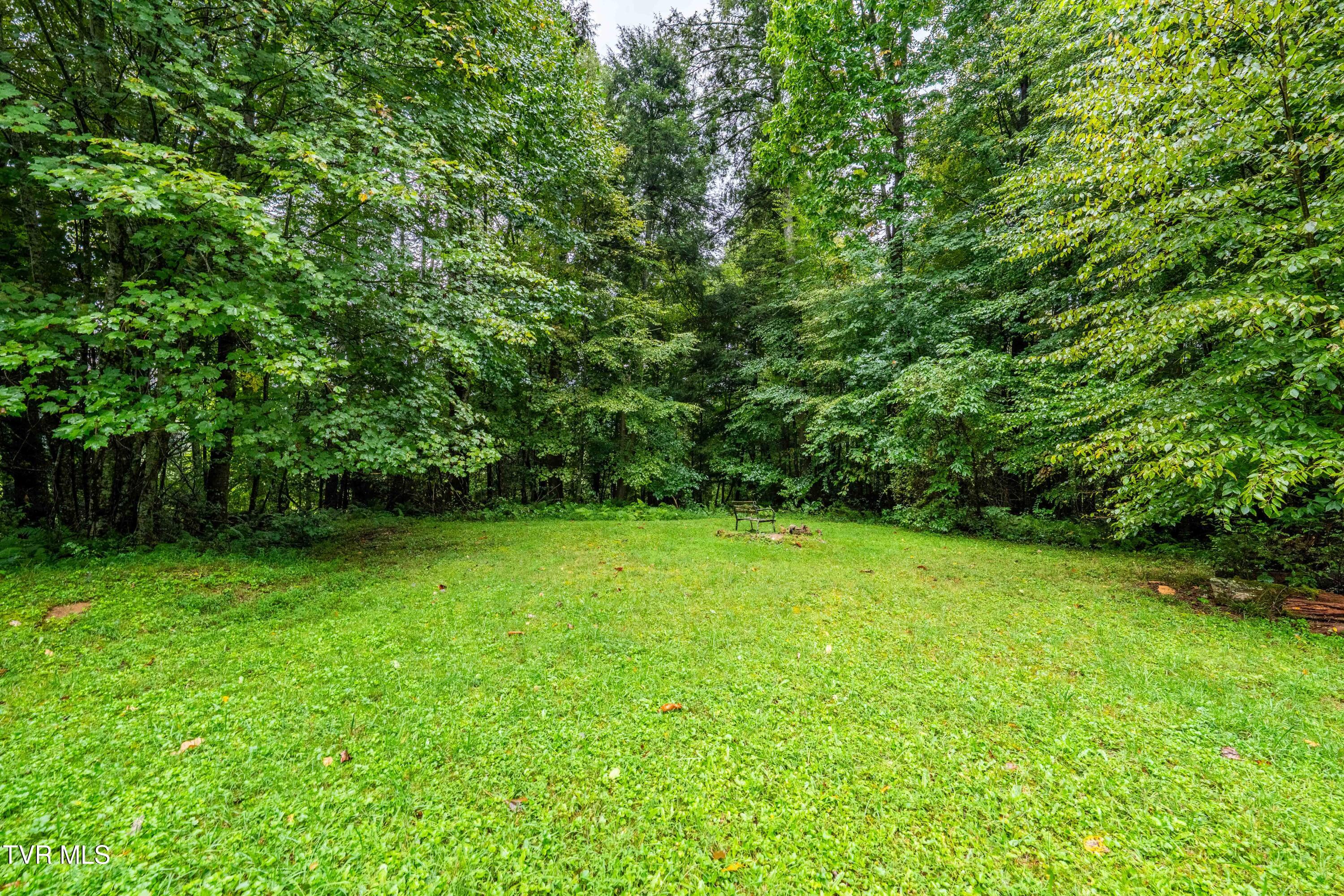 141 David Blevins Lane Shady Valley, TN 37688 - Photo 15 of 26 1306 Winchester Road (16 of 40)