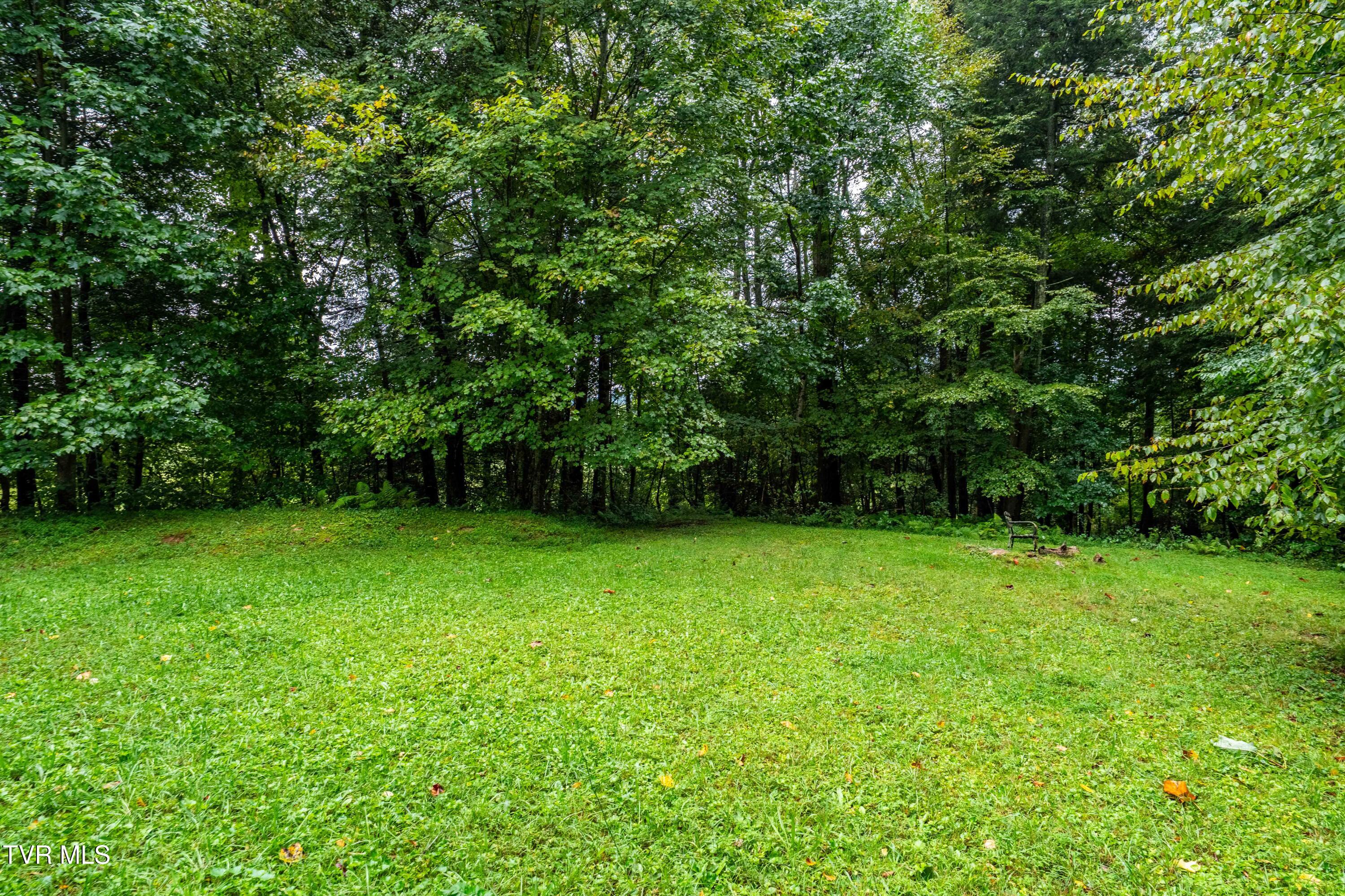 141 David Blevins Lane Shady Valley, TN 37688 - Photo 18 of 26 1306 Winchester Road (19 of 40)