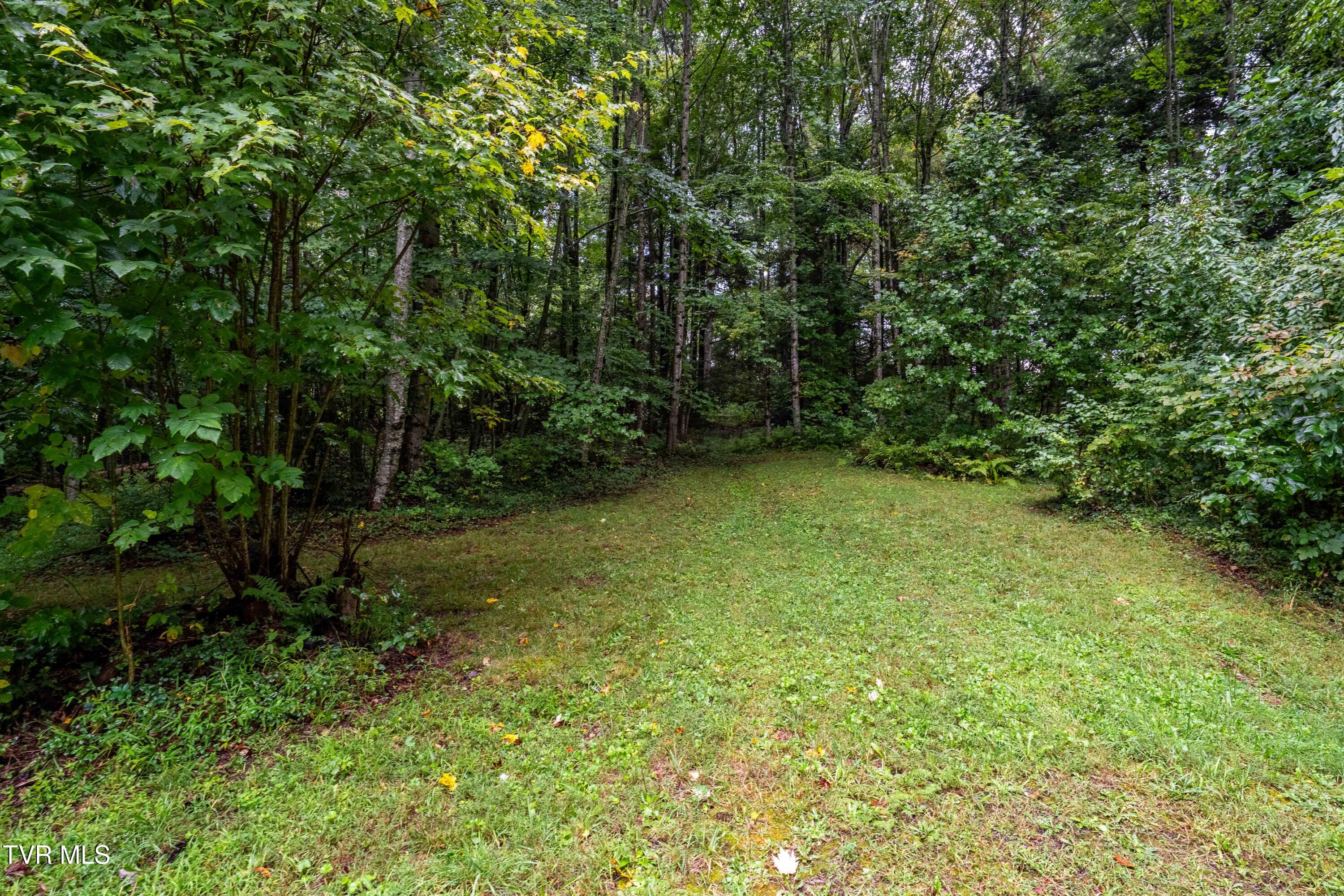 141 David Blevins Lane Shady Valley, TN 37688 - Photo 10 of 26 1306 Winchester Road (11 of 40)