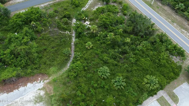 a view of a yard with plants and a small yard