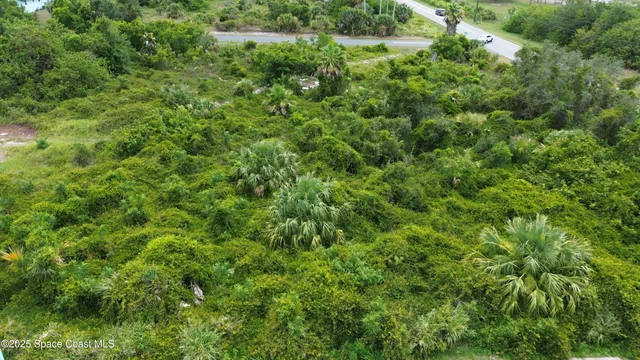 a view of a lush green forest