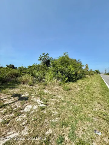 a view of a field with an ocean