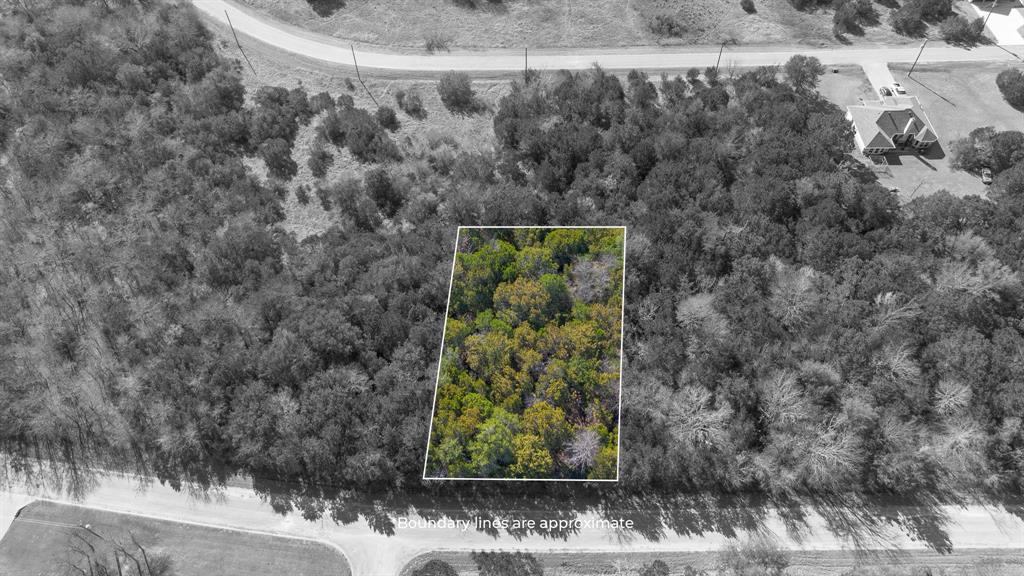 38008 Cedar Trail Whitney, TX 76692 - Photo 2 of 10 a view of a yard