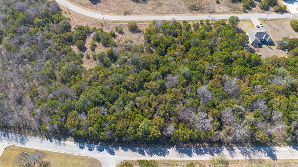38008 Cedar Trail Whitney, TX 76692 - Photo 10 of 10 a view of a yard with plants and wooden fence