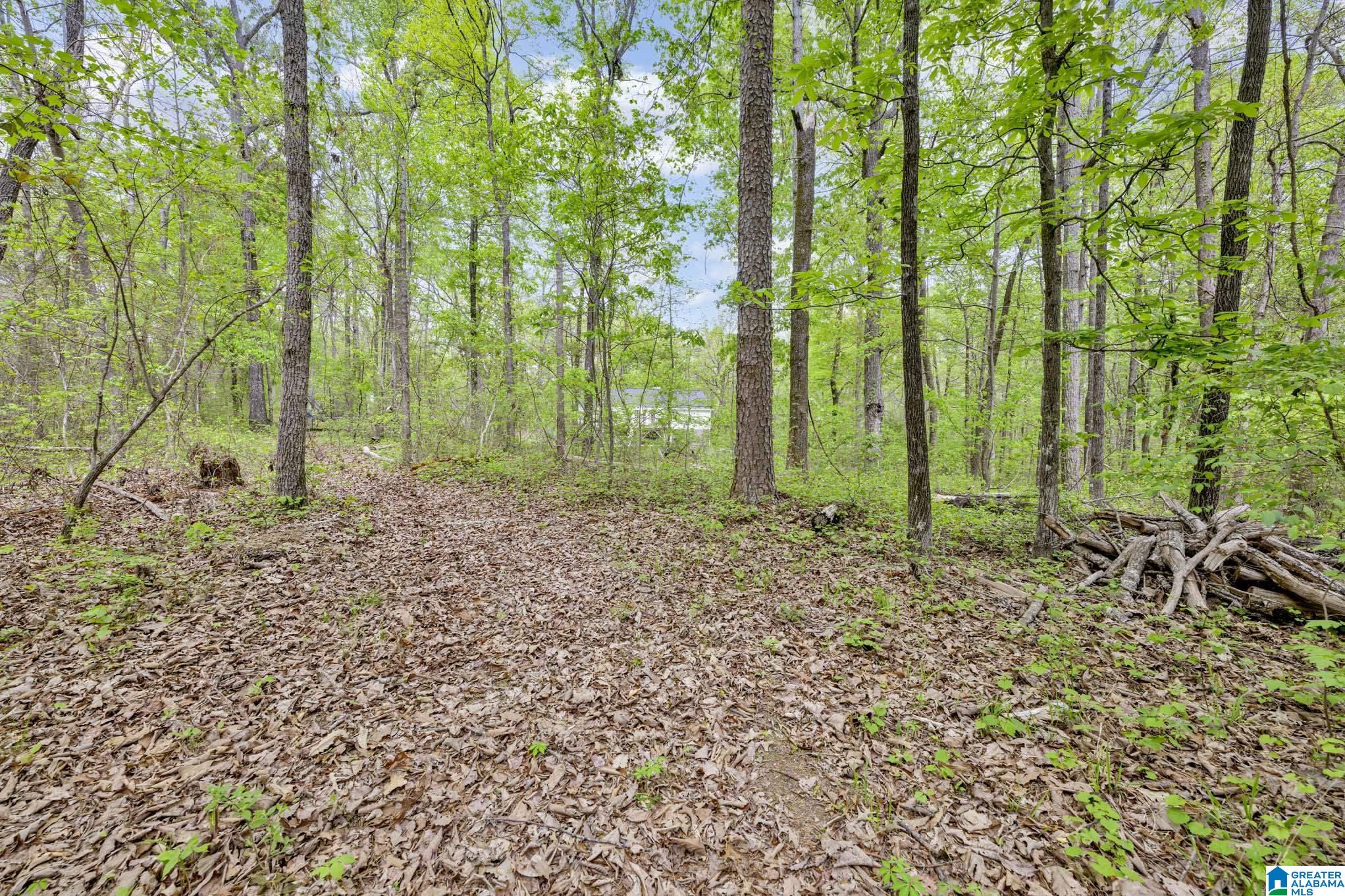 170 Fox Ridge Drive Warrior, AL 35180 - Photo 50 of 56