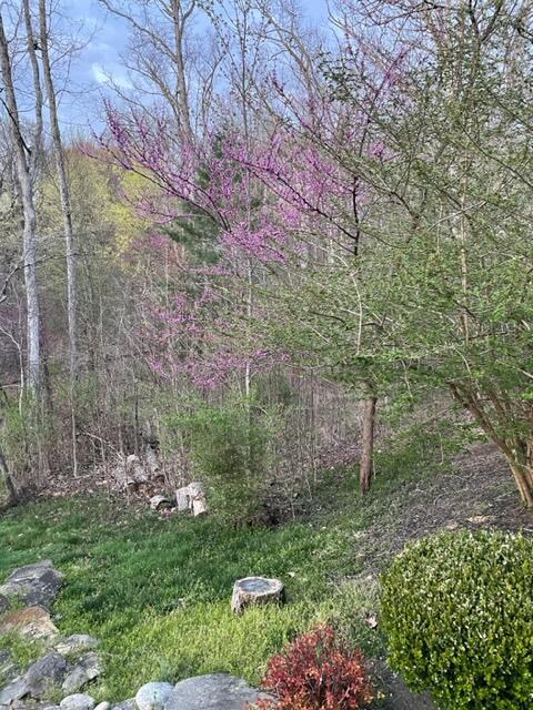 8590 Lavelle Road Athens, OH 45701 - Photo 104 of 113 Seasonal Pics