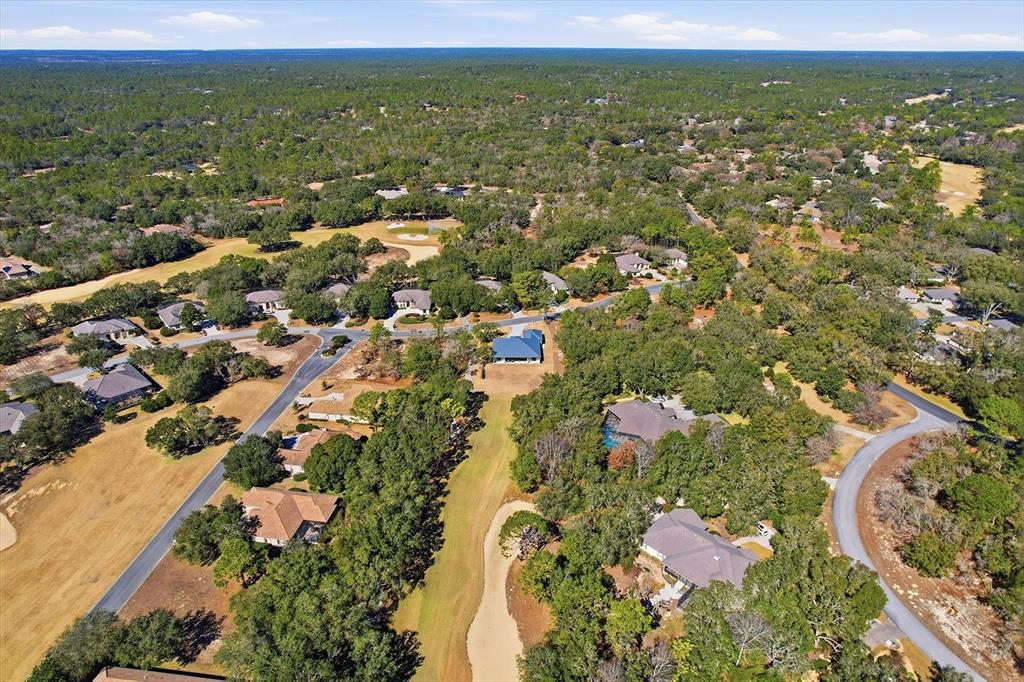 2815 North Prestwick Way Lecanto, FL 34461 - Photo 44 of 48