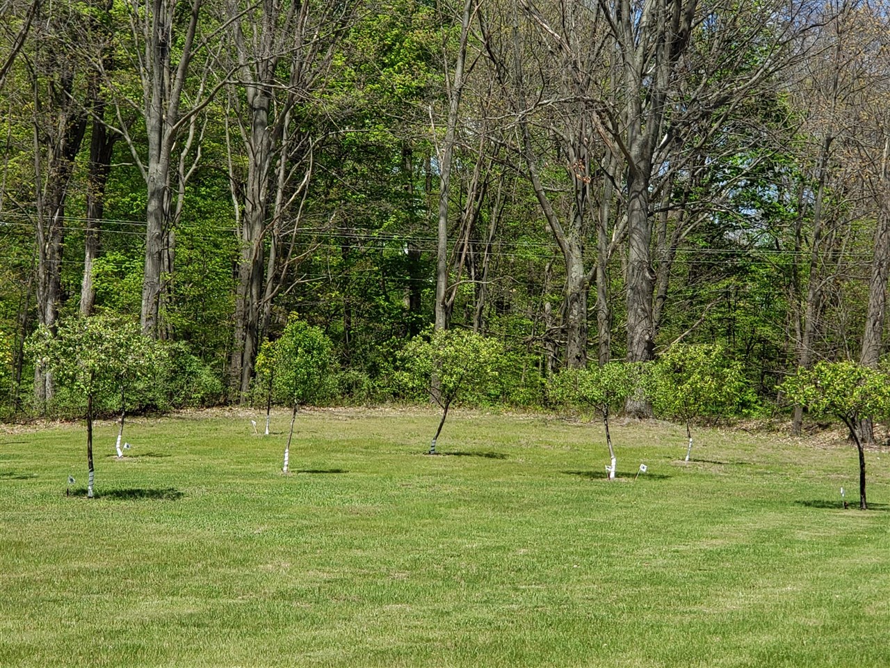 1700 Hamilton Road Battle Creek, MI 49017 - Photo 18 of 56