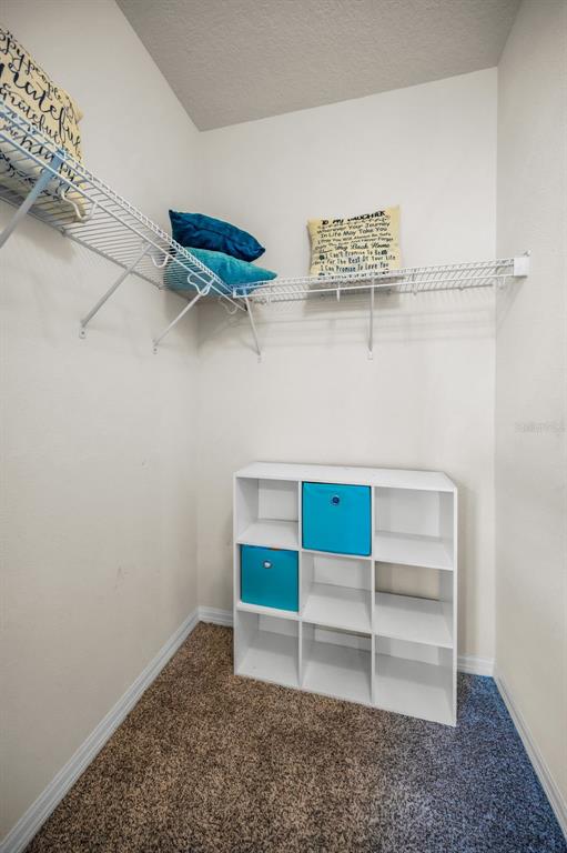 5529 White Marlin Court New Port Richey, FL 34652 - Photo 32 of 63