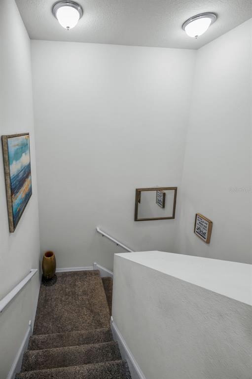 5529 White Marlin Court New Port Richey, FL 34652 - Photo 35 of 63