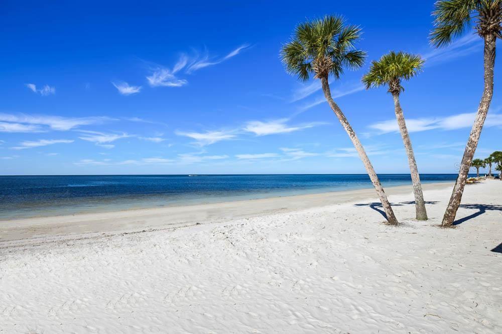 5529 White Marlin Court New Port Richey, FL 34652 - Photo 58 of 63 a view of a room with a plant and a potted plant