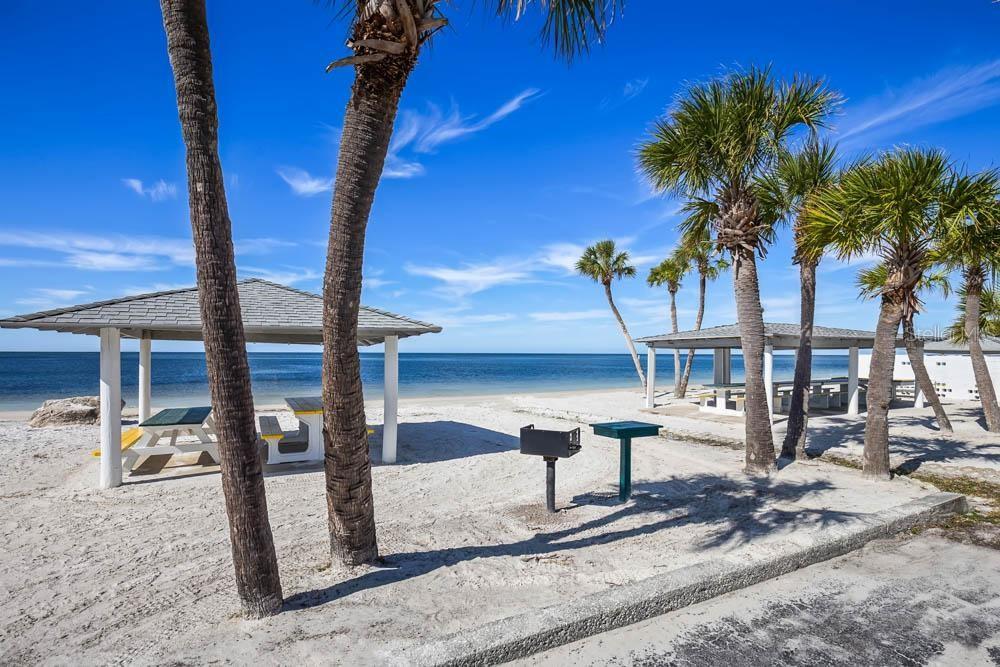 5529 White Marlin Court New Port Richey, FL 34652 - Photo 60 of 63 a view of a street with an trees