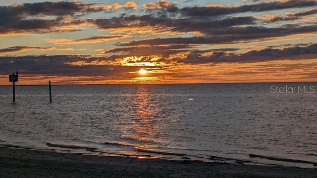 5529 White Marlin Court New Port Richey, FL 34652 - Photo 62 of 63