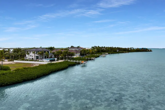 a view of a lake with houses in the back