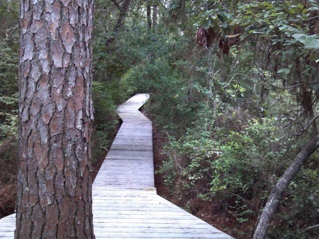 13 Bramble Lane Santa Rosa Beach, FL 32459 - Photo 9 of 14 Kayak Launch Walkway