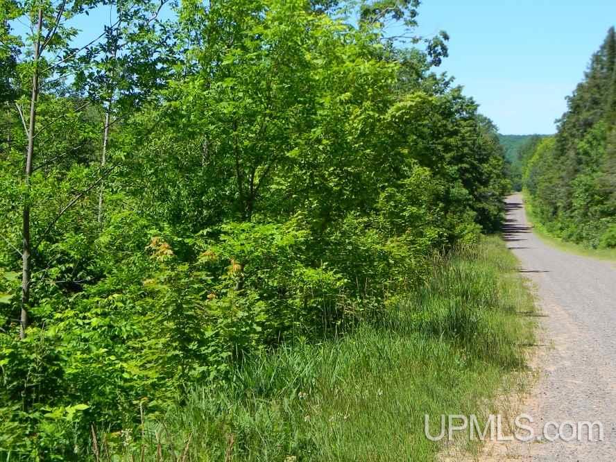 Tbd Asumaa Rd 120 Acres Atlantic Mine, MI 49905 - Photo 7 of 12