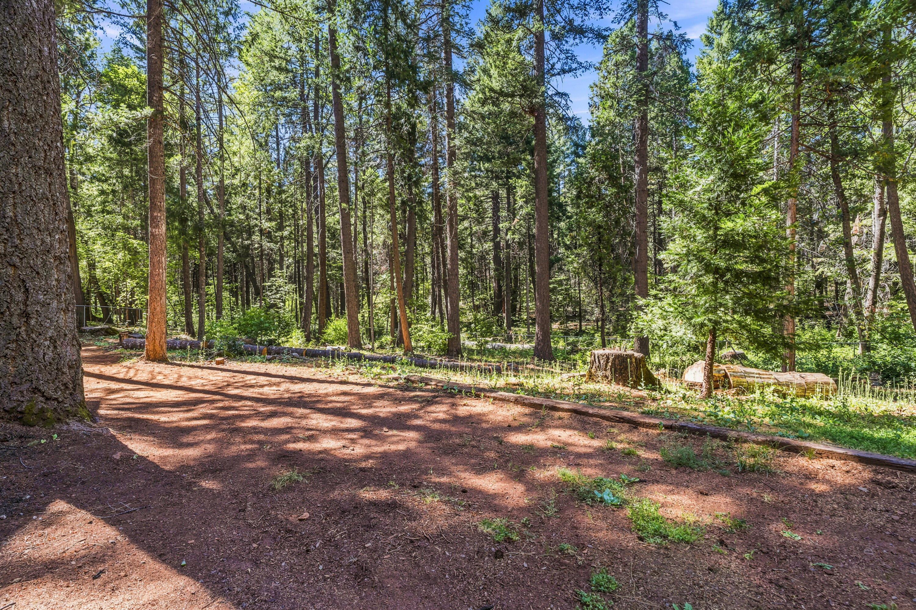 7141 Goose Chase Road Shingletown, CA 96088 - Photo 49 of 62 Backyard View
