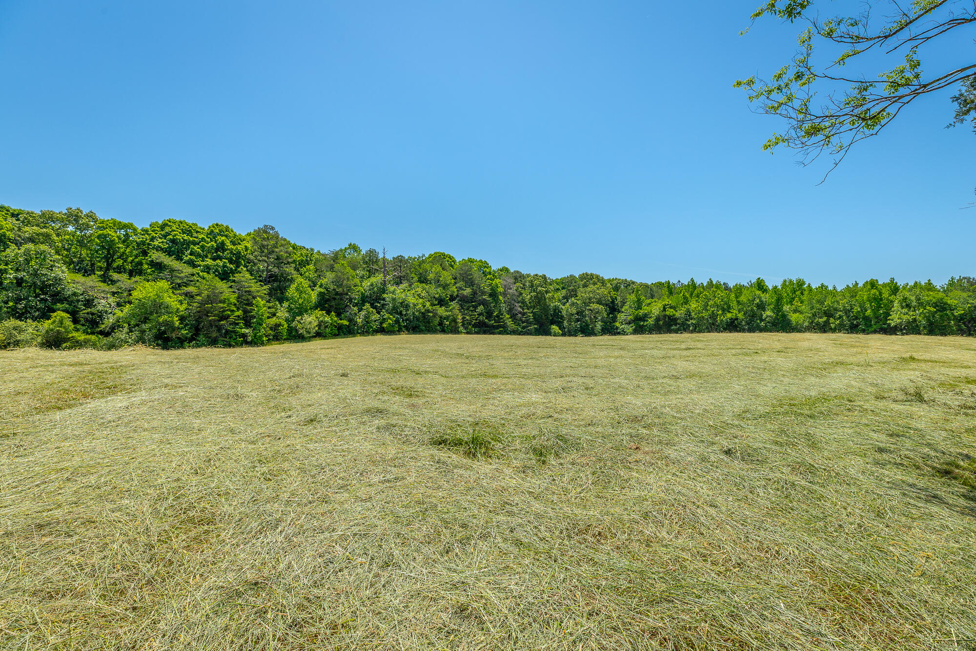 1655 West Cove Road Chickamauga, GA 30707 - Photo 30 of 62 1655 W Cove Road HD-51