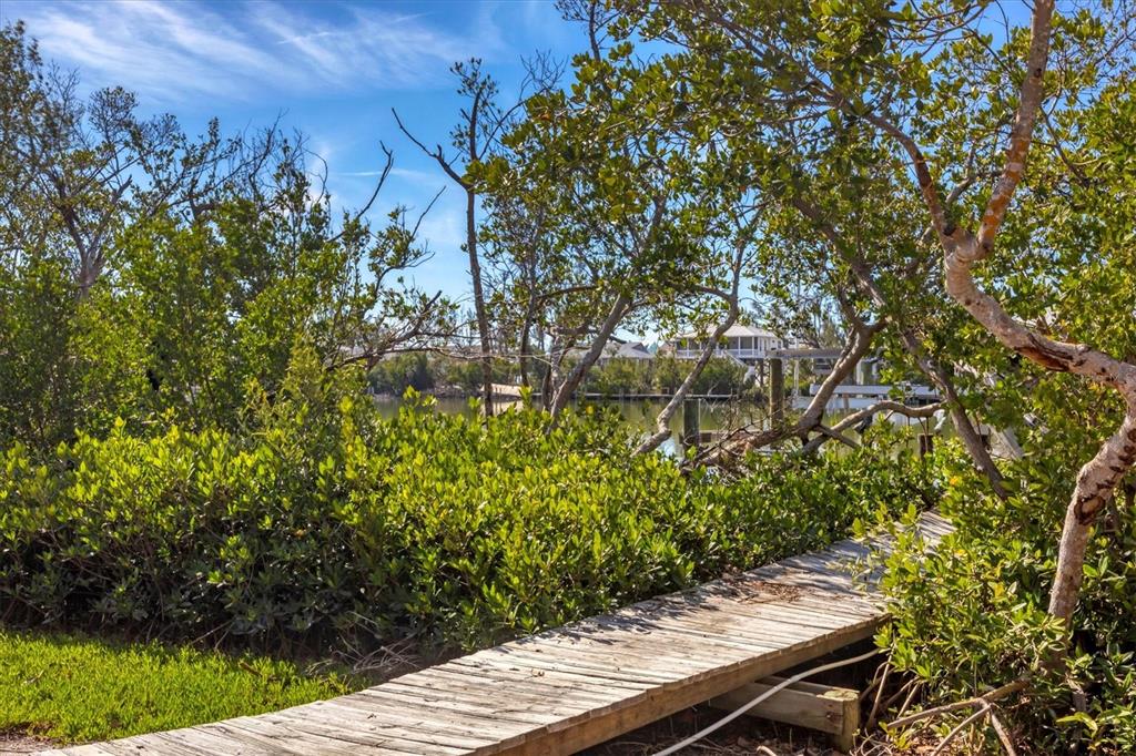 331 Bocilla Drive Boca Grande, FL 33921 - Photo 29 of 34 a view of a yard