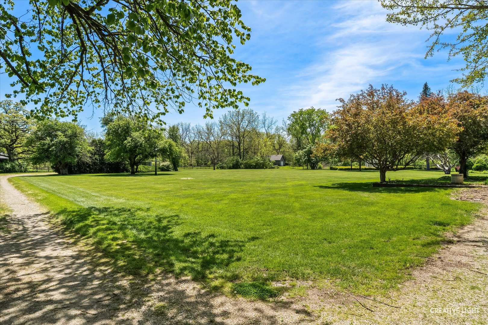 33W451 Surrey Road Wayne, IL 60184 - Photo 15 of 41 a view of a park with large trees