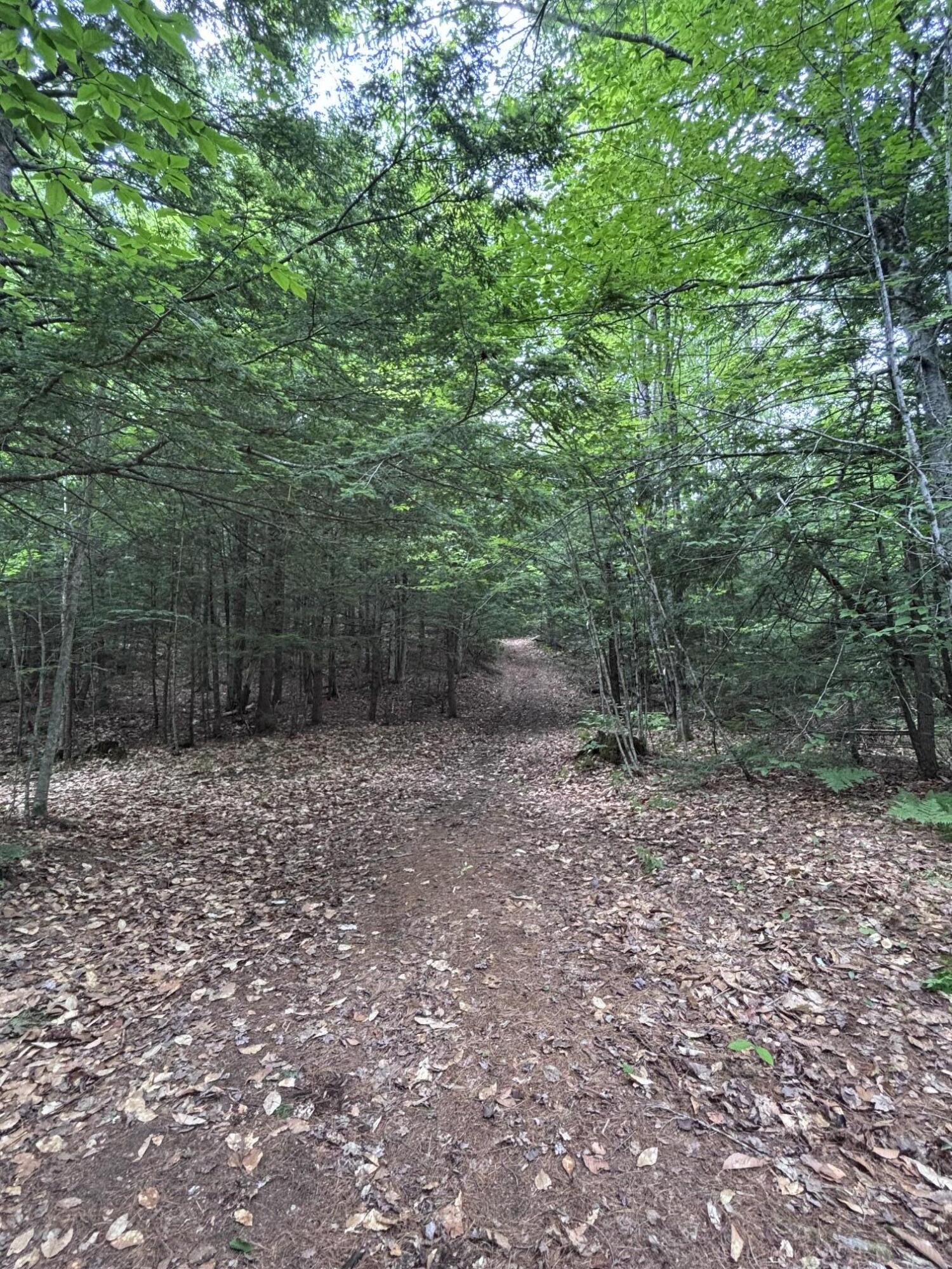 Lot #22 Streaked Mountain Road Buckfield, ME 04220 - Photo 13 of 14 image3 (2)