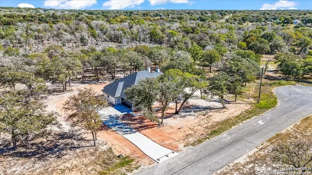 a view of a tree with a yard