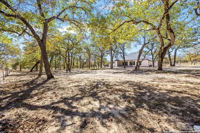 a view of road covered with trees