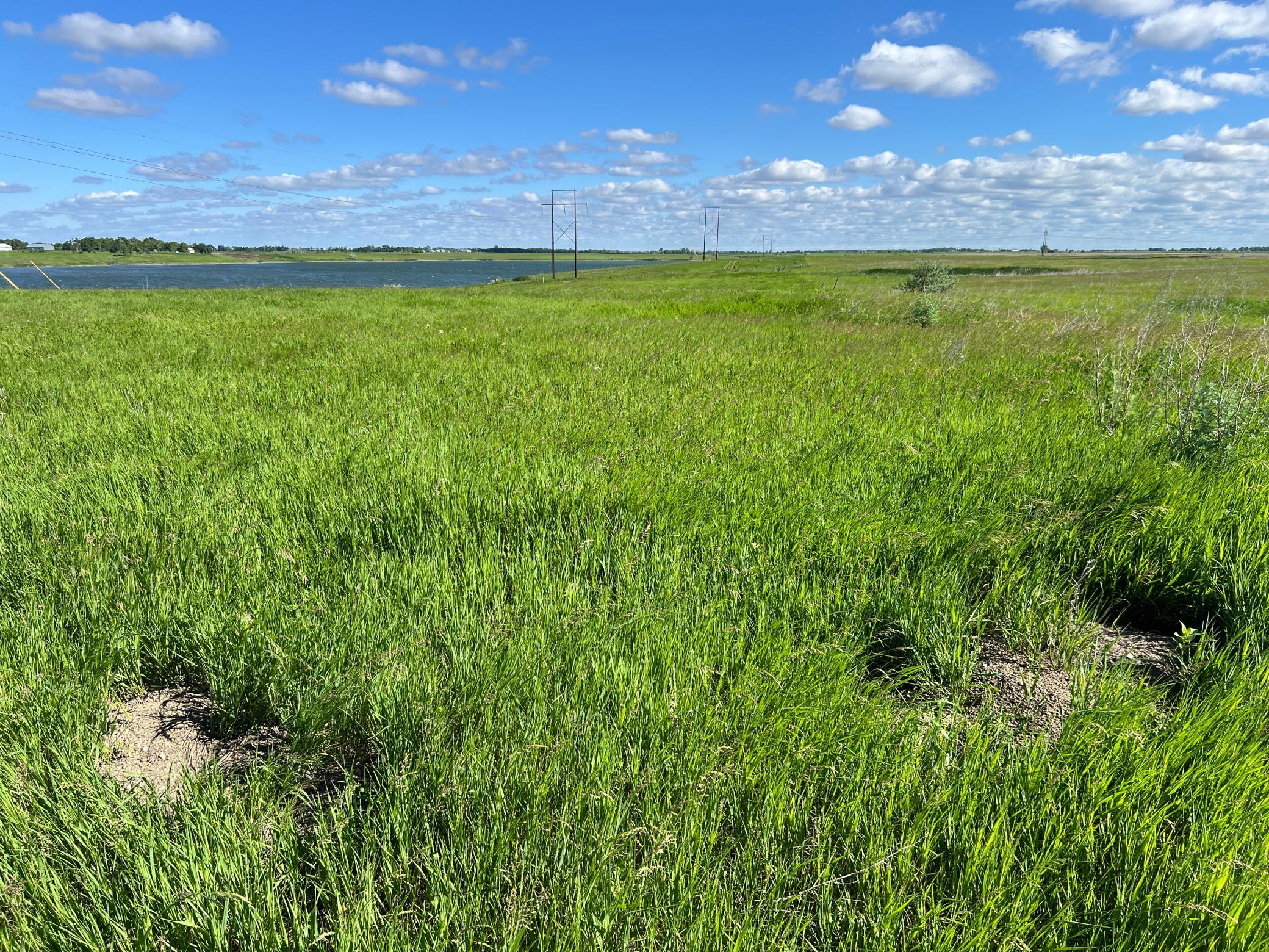 Tbd Southeast Tbd Se 90th Street Rutland, ND 58067 - Photo 64 of 105