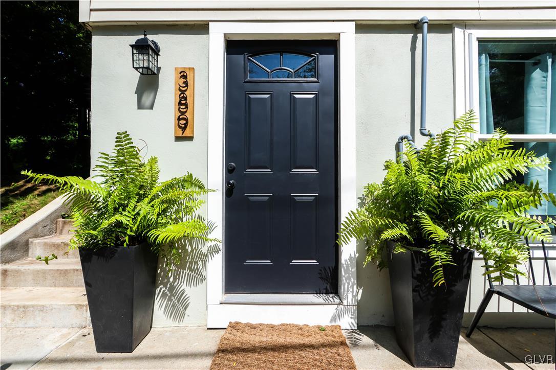 389 West Nesquehoning Street Easton, PA 18042 - Photo 13 of 44 a potted plant in front of a door