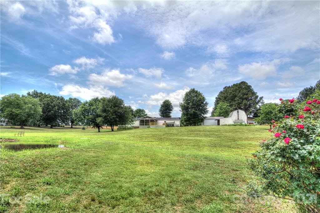 7918 Morgan Mill Road Monroe, NC 28110 - Photo 37 of 37 a view of a big yard with plants and large trees